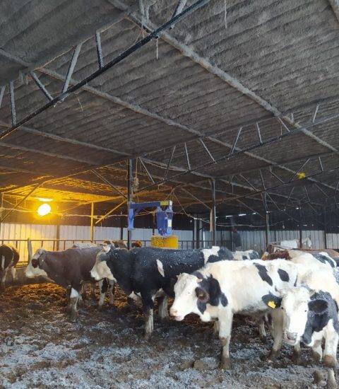 starbor yangın yalıtımı